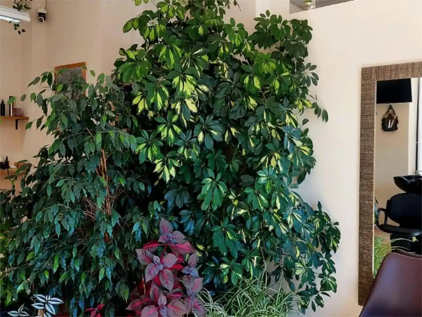 Jardí de Local de lloguer en Alcalá de Henares amb Aire condicionat i Moblat