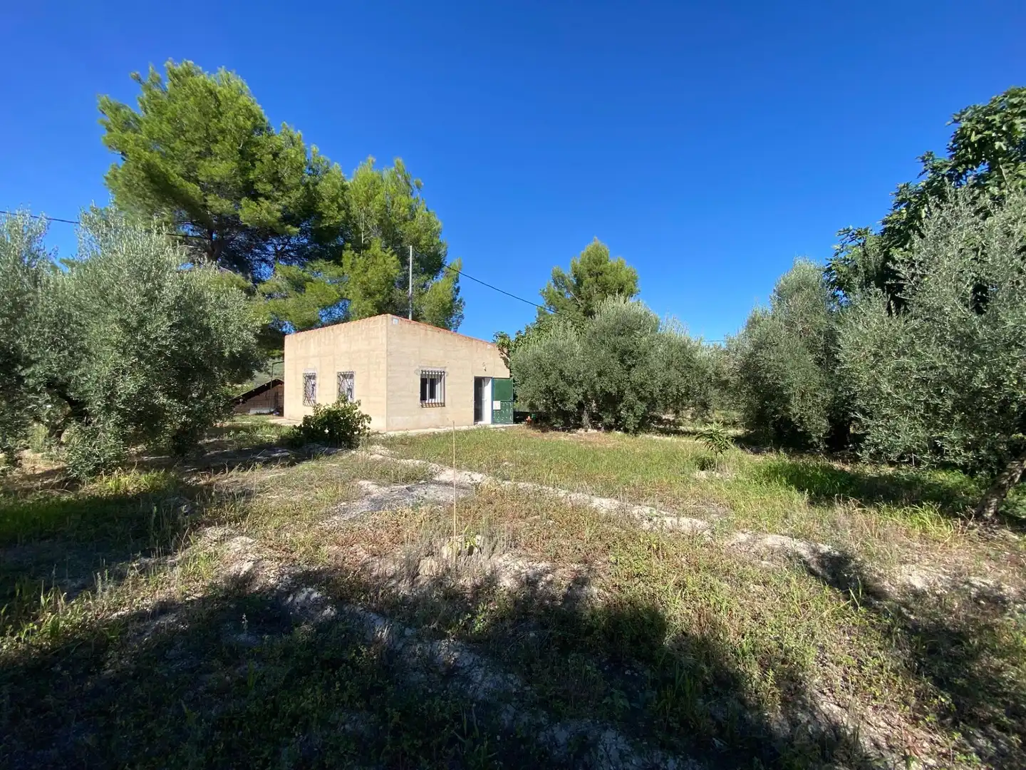 Terrain rustique à vendre à Moratalla