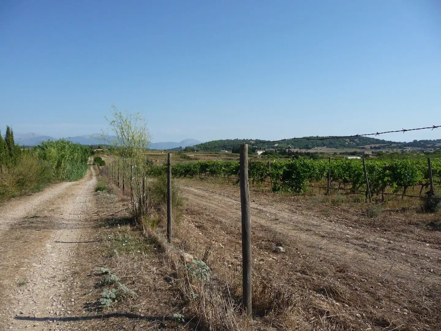 Terreni e lotti in vendita a Algaida, imagen 6