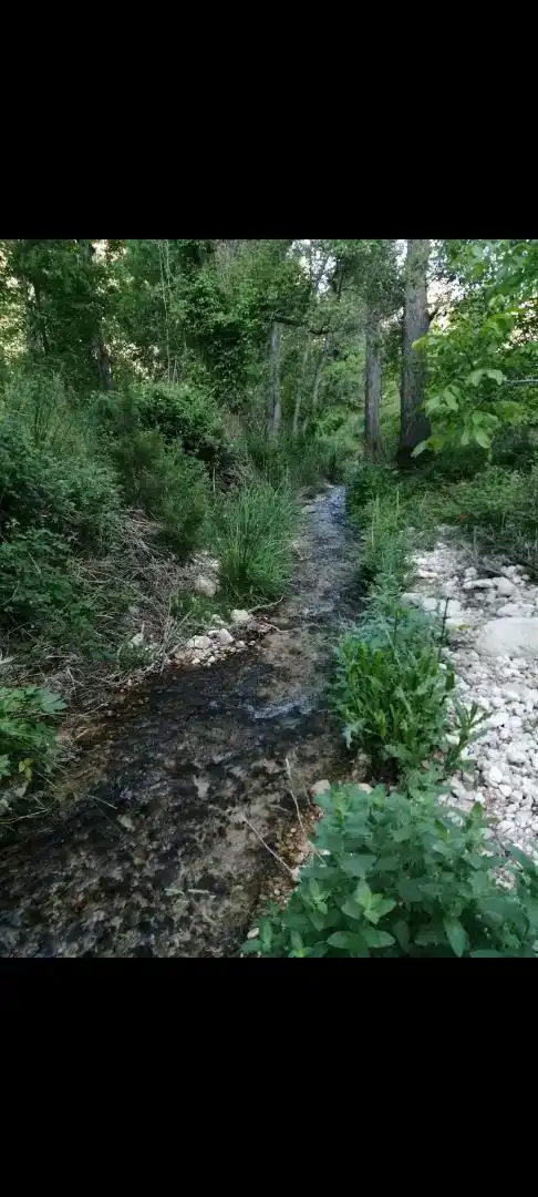 Terreno en venta en Yeste