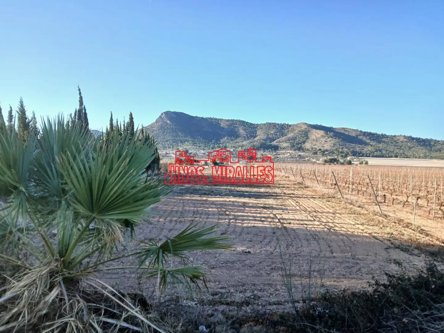 Residential land for sale in Pedanías Este, imagen 4