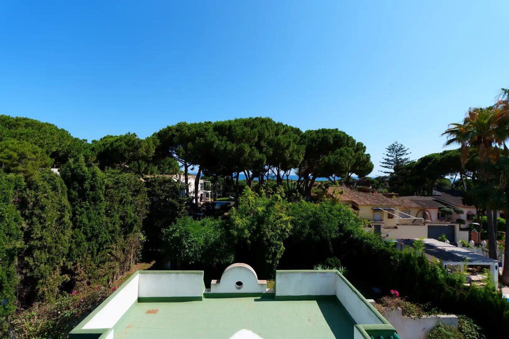 Jardín de Casa o chalet en venta en Marbella con Jardín privado, Terraza y Amueblado