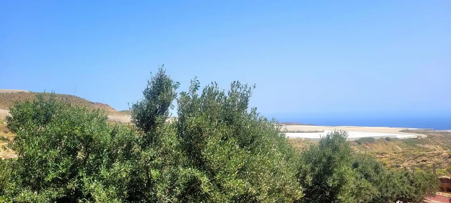 Terreno rustico in vendita a Arico
