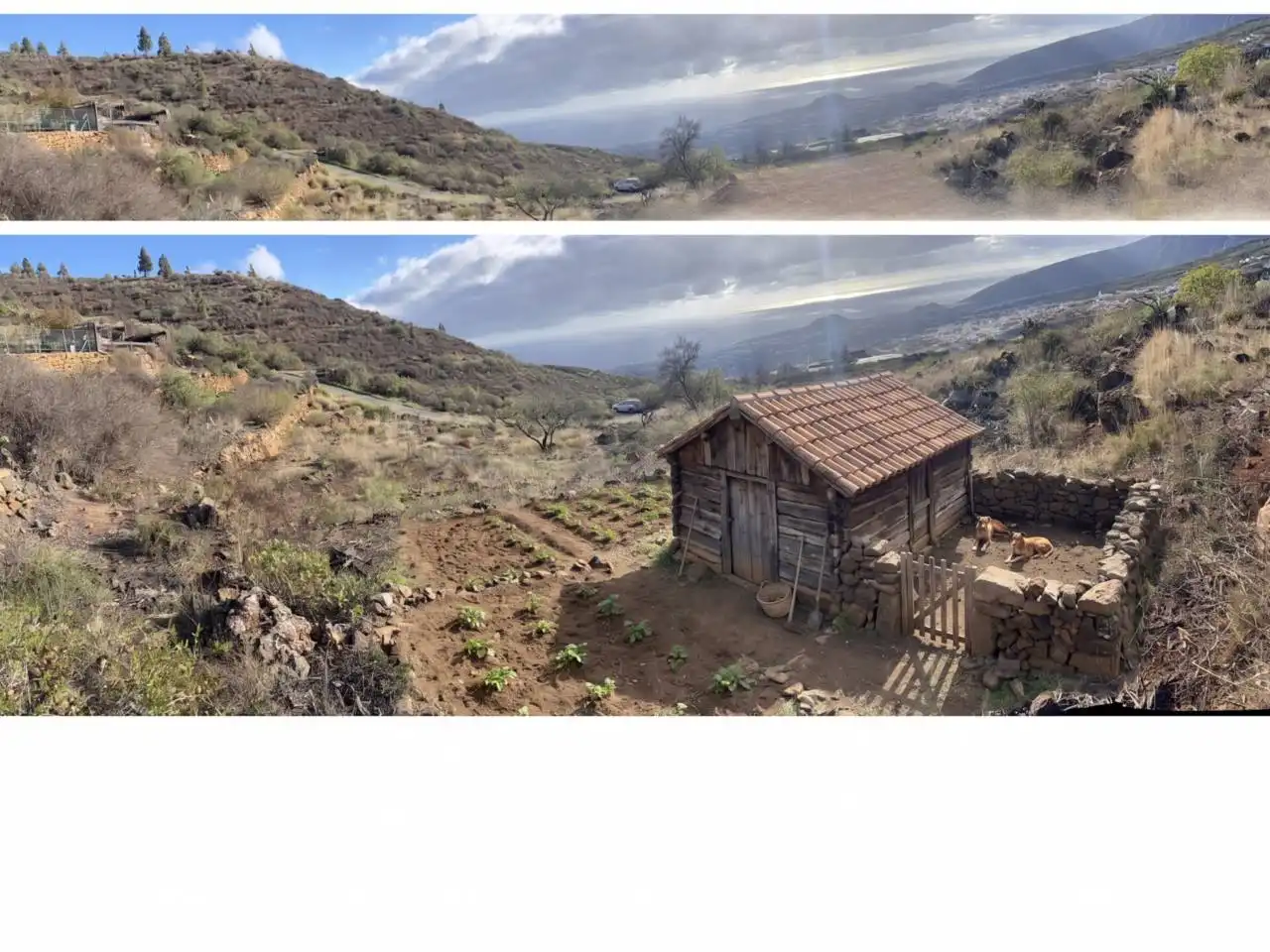 Rural land for sale in Camino Montesinas, imagen 10