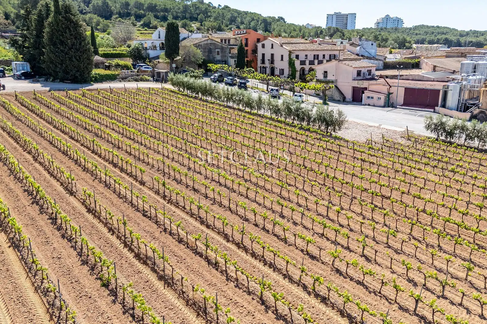 Casa o xalet en venda en Sant Pere de Ribes amb Aire condicionat, Calefacció i Terrassa