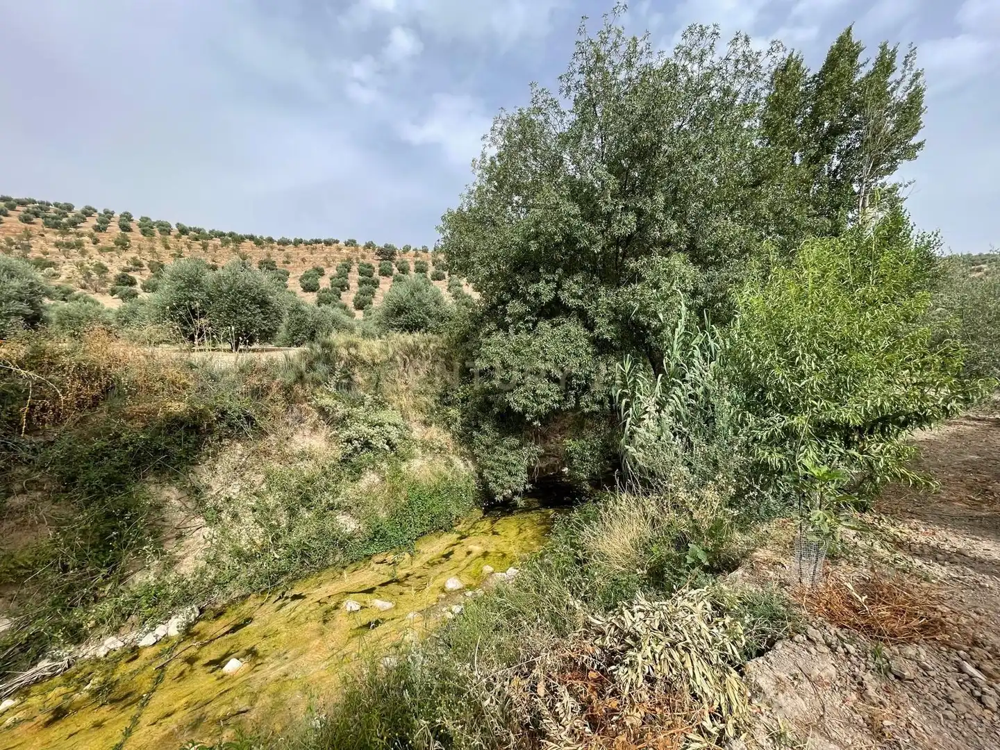 Rustikales Grundstück zum Verkauf in 18260 Íllora, Spain, imagen 16