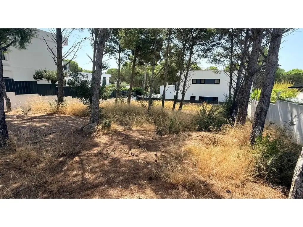 Terreno residencial en venta en Calle De L'Eucaliptus 22, imagen 4