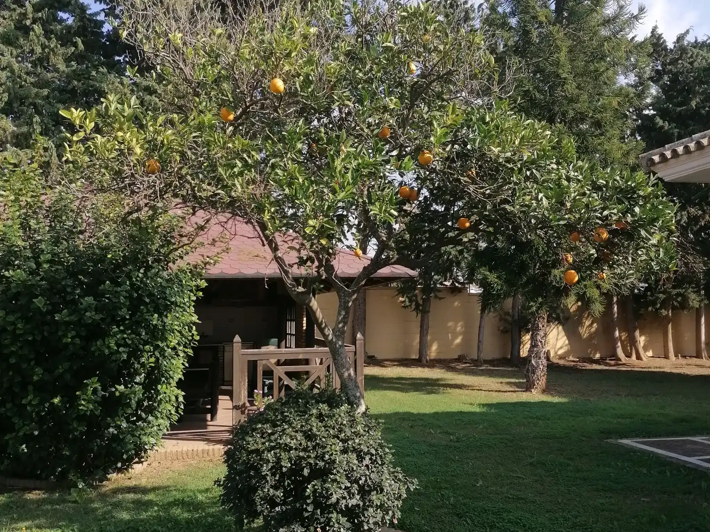 Xalet amb piscina en venda a Las Lagunas - Campano, imagen 12