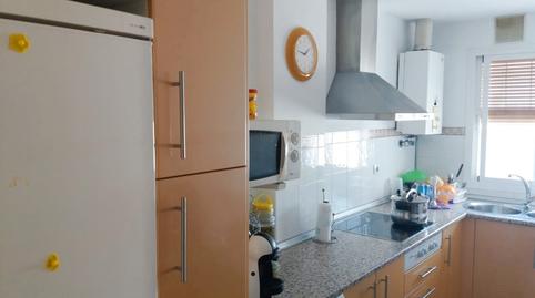 Photo 4 of Study to rent in Calle Bolsa, El Pino - Bajo de Guía, Cádiz