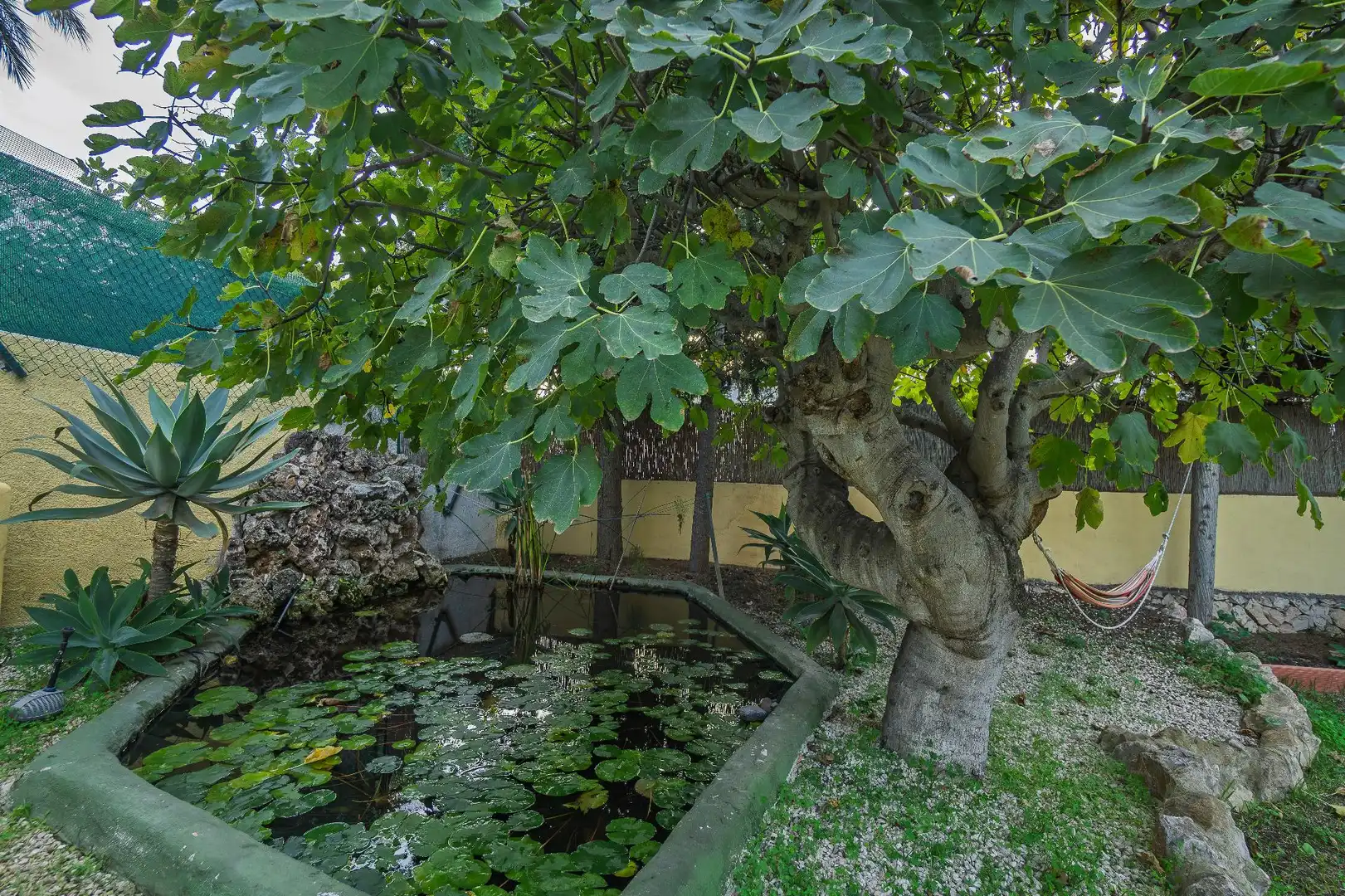 Chalet con terraza en venta en Calle Calle de Brufol-Montemar, 2, imagen 70