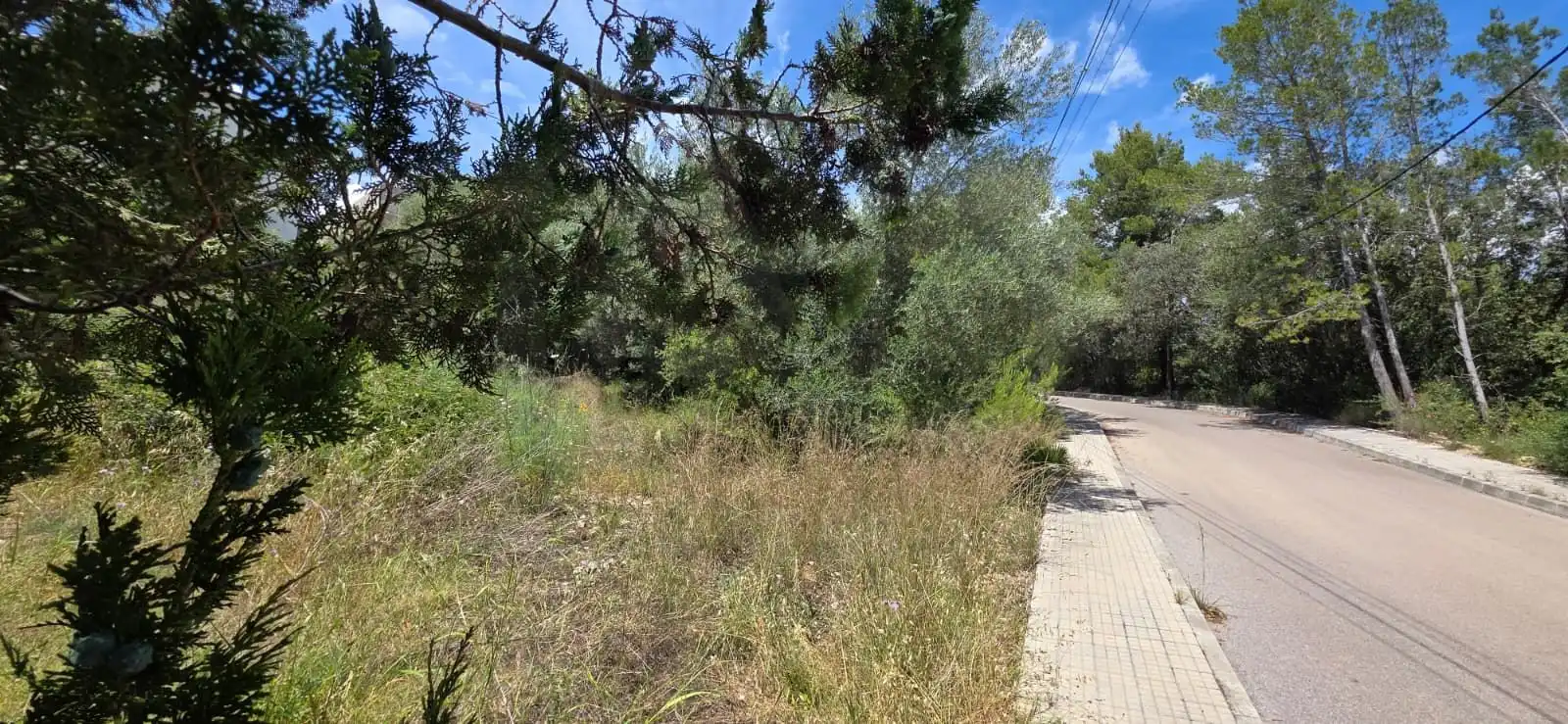 Terreny residencial en venda a Carrer de Son Puça 75, imagen 7