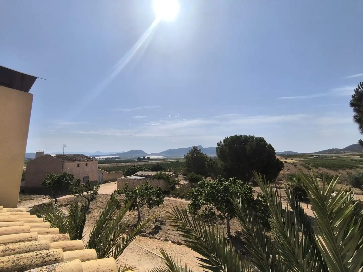 Houses for sale in Monóvar  / Monòver, Alicante