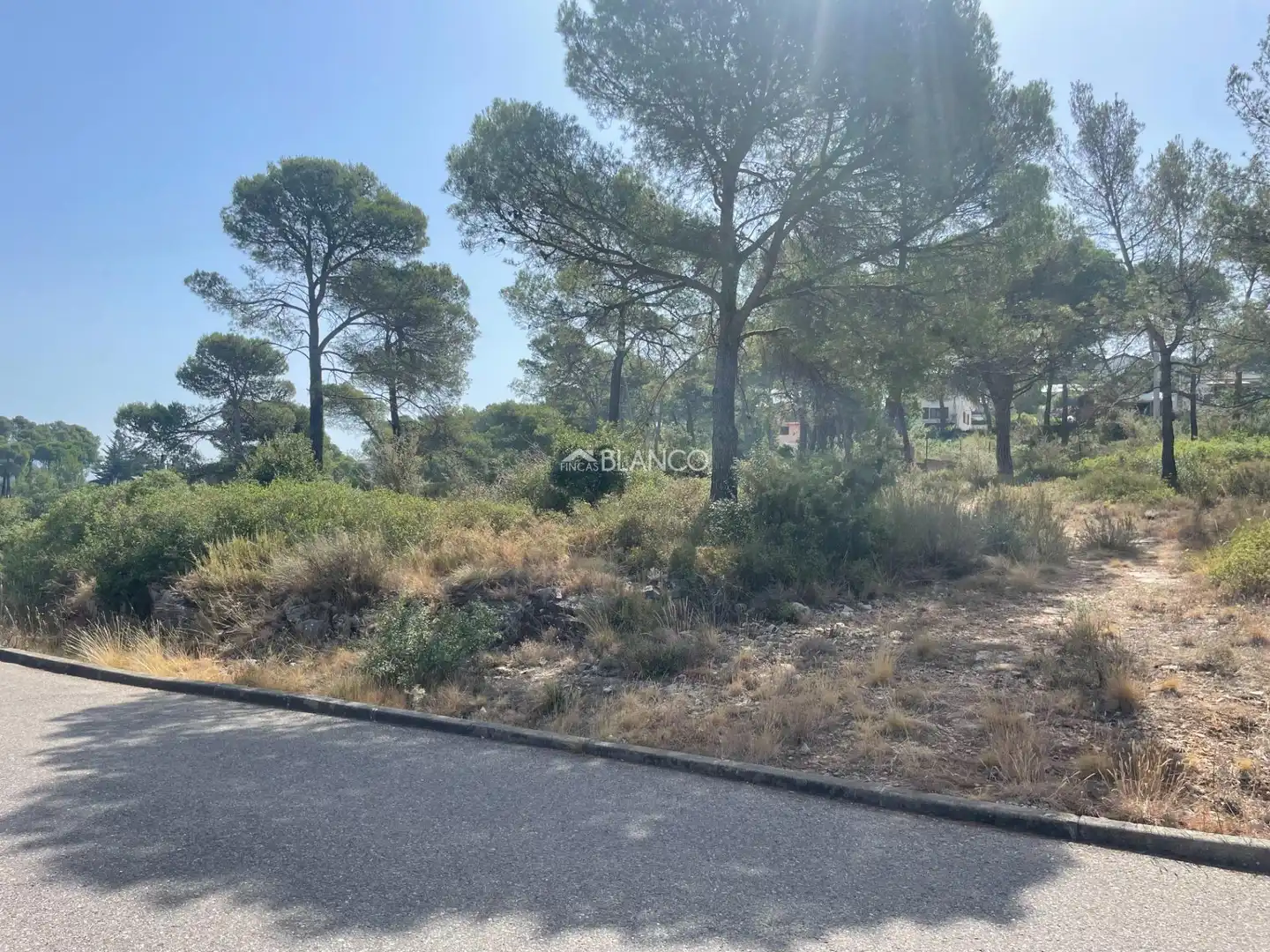 Terreny residencial en venda a Mediona