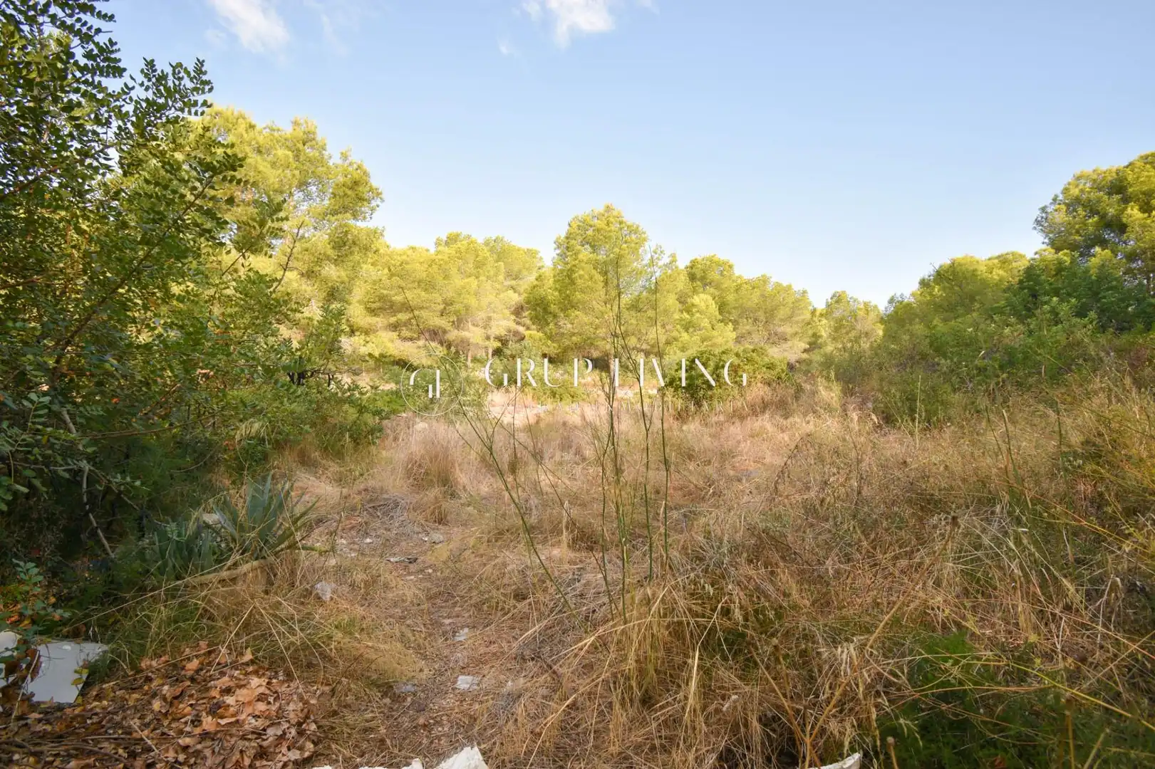 Terreny residencial en venda a Can Pei, imagen 3