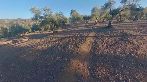 Photo 5 of Residential for sale in Obejo, Córdoba