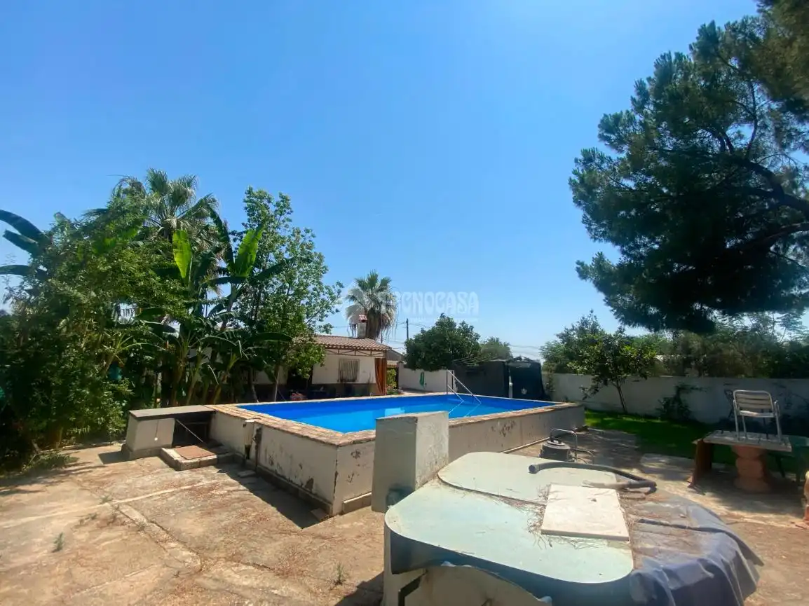 Swimming pool of Country homes for sale in Dos Hermanas