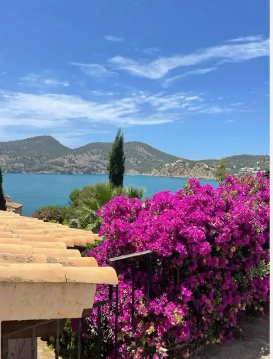 Vista exterior de Casa o chalet de alquiler en Andratx con Calefacción, Jardín privado y Terraza
