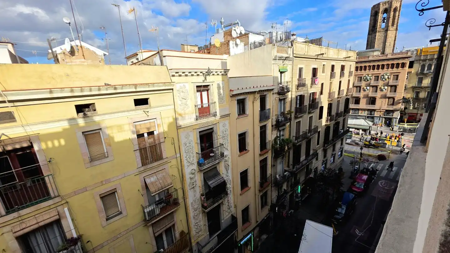 Wohnung zum Verkauf in Carrer de l'Hospital, imagen 19