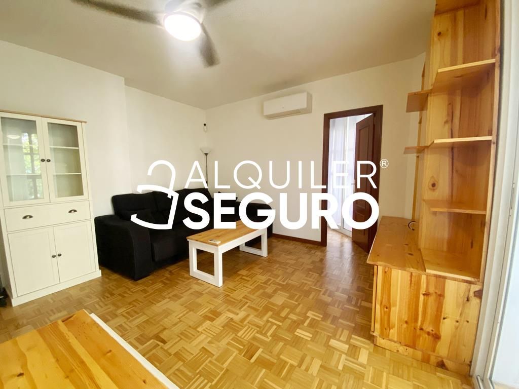 Living room of Flat to rent in  Madrid Capital  with Air Conditioner, Heating and Furnished