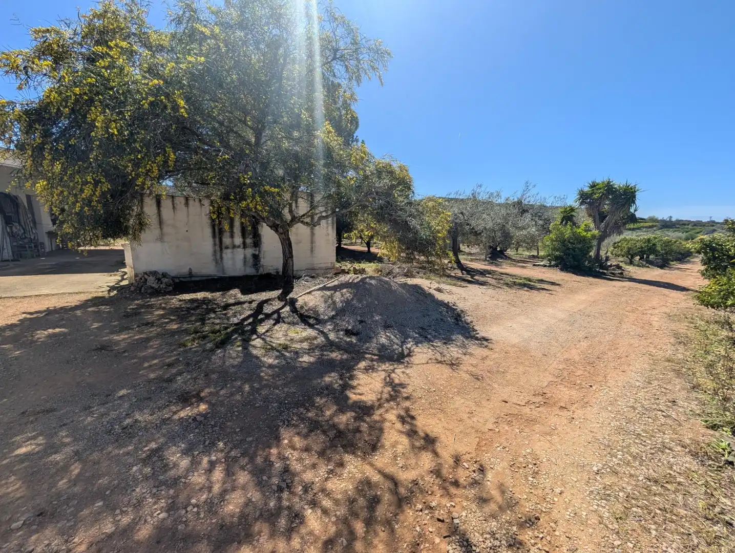 Grundstücke zum Verkauf in Ulldecona