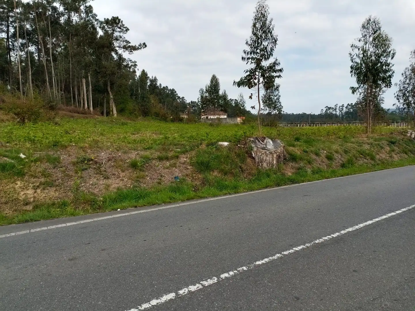 Terrenos y solares en venta en Ribadumia, imagen 4