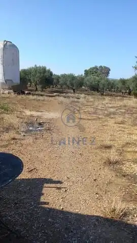 Rural land for sale in Fuente Obejuna, imagen 40
