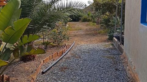 Foto 3 de Finca rústica en venda a Motril  ciudad, Granada