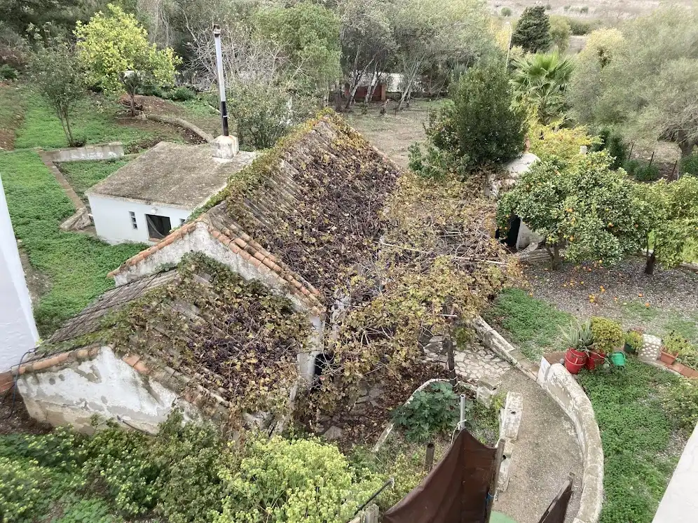 Terreni e lotti in vendita a Los Barrios, imagen 4