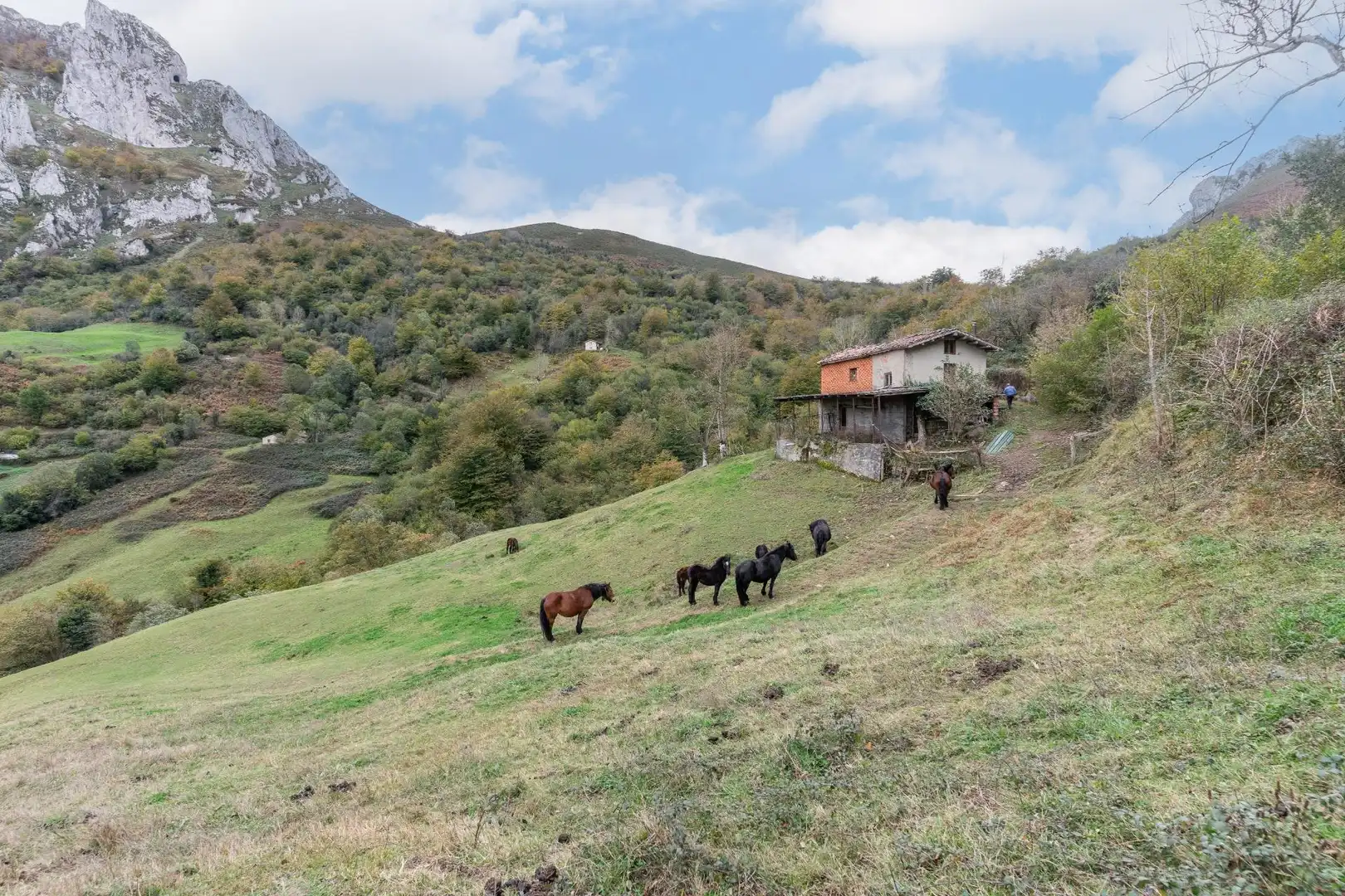 Außenansicht von Grundstücke zum Verkauf in Laviana