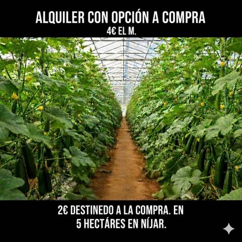 Terreno en Venta en N/A, -1 en Níjar pueblo