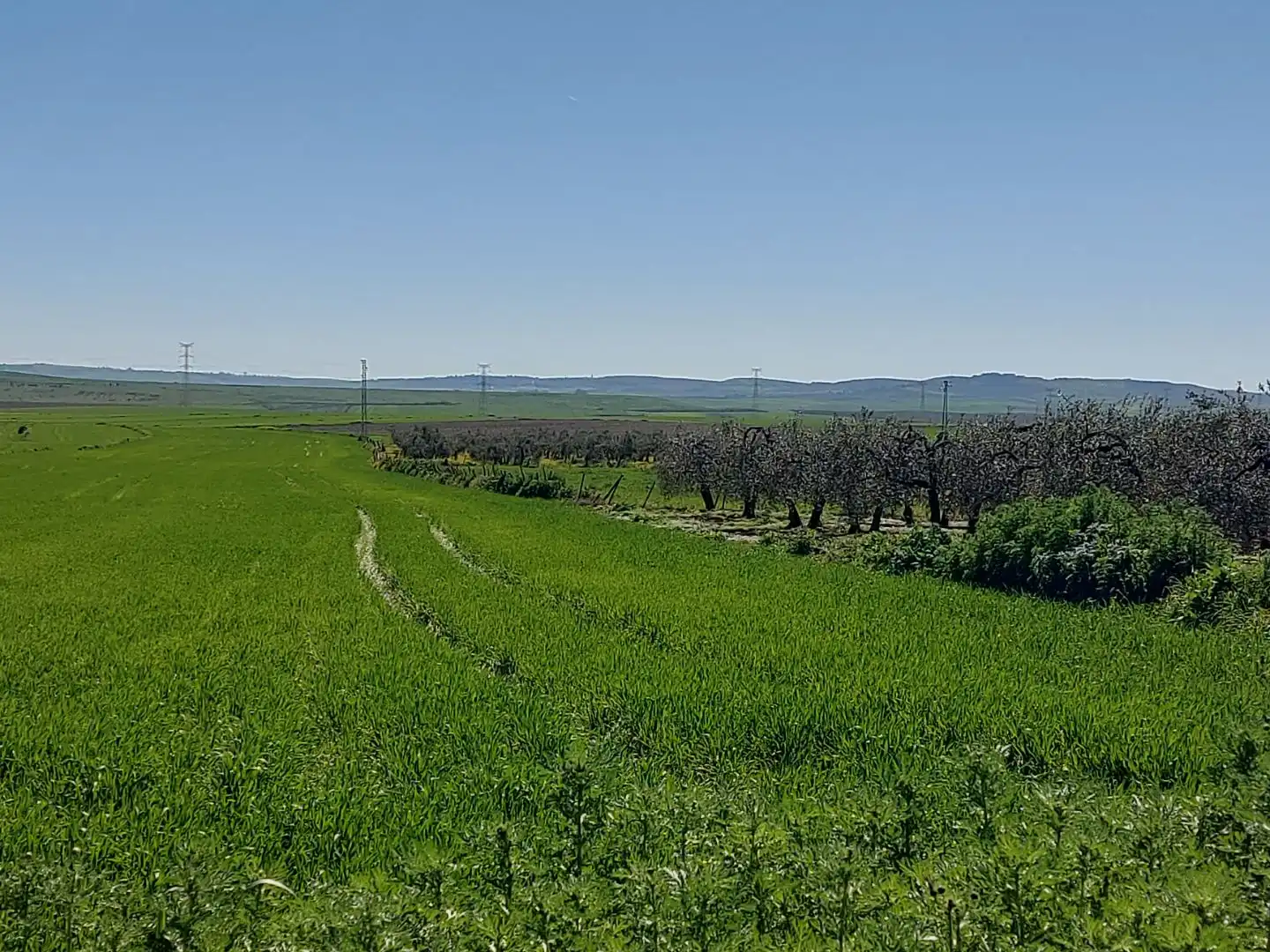 Terreny rústic en venda a Carretera A-477 4, imagen 4