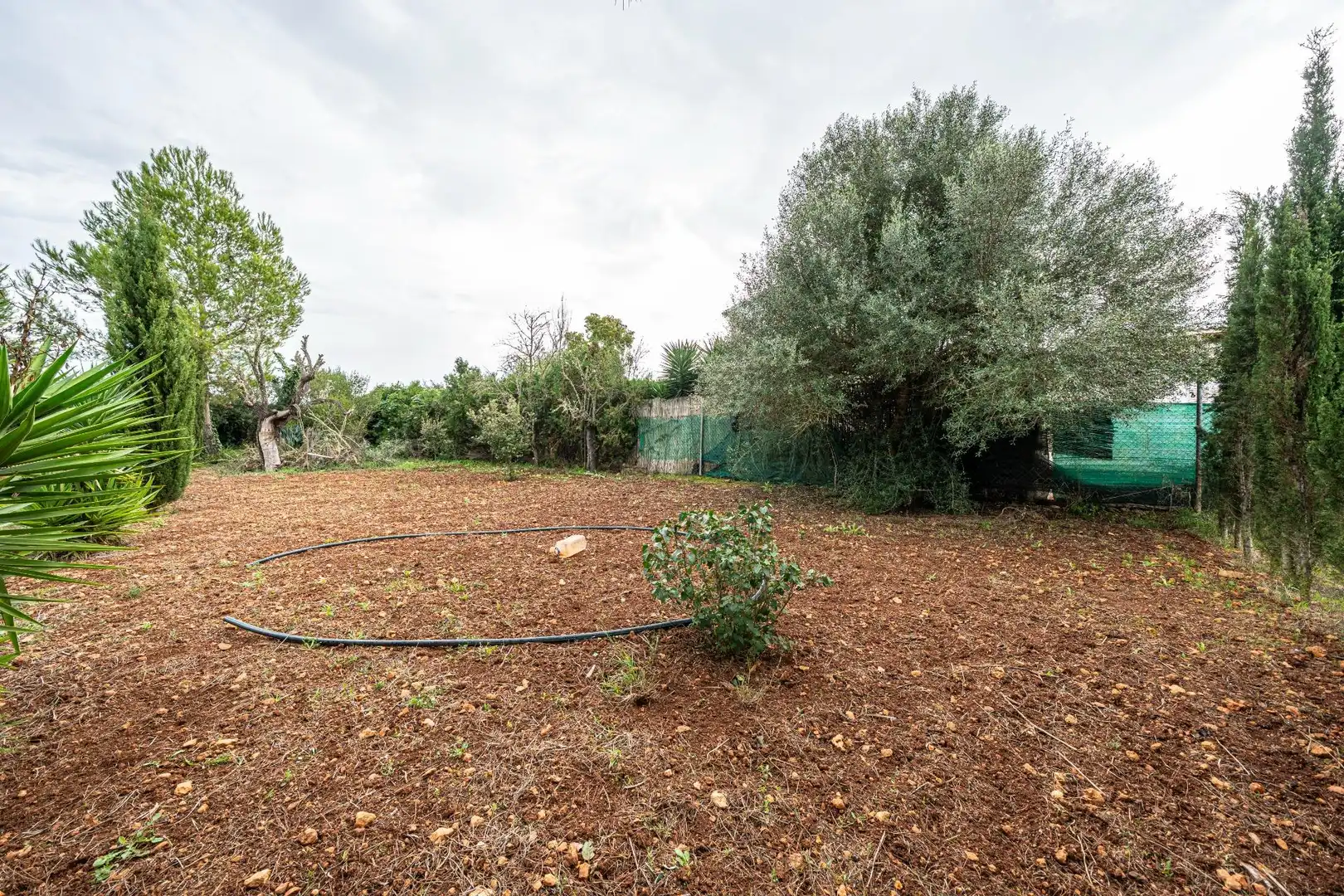 Terreno rustico in vendita a Camino SO N´AMORA NOU, imagen 29