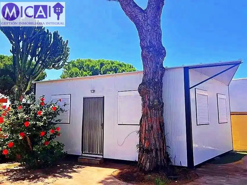 Jardí de Casa o xalet en venda en Chiclana de la Frontera amb Aire condicionat, Jardí privat i Traster