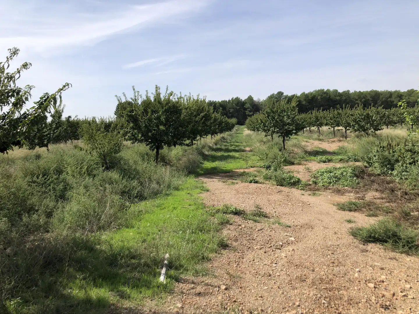 Terreno en venta en Valls