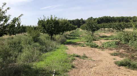 Foto 4 von Grundstücke zum Verkauf in N/a, -1, Valls, Tarragona
