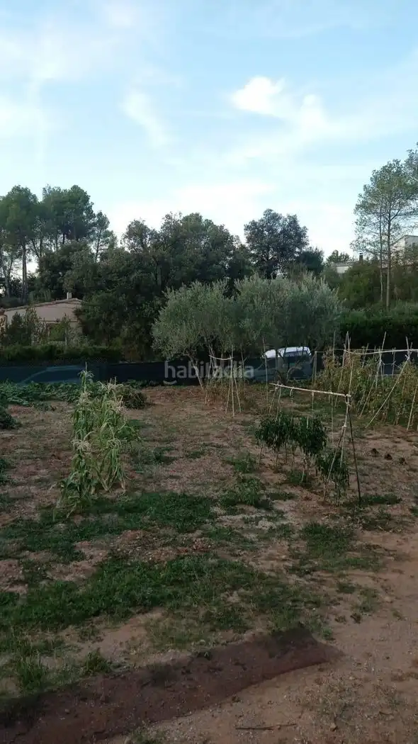 Terreny residencial en venda a Carrer del Mirador 75, imagen 2