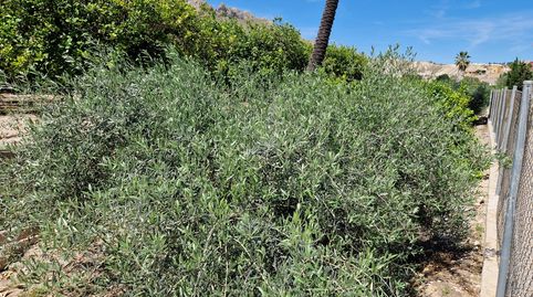 Foto 4 de Terreno en venta en Moratalla, Murcia