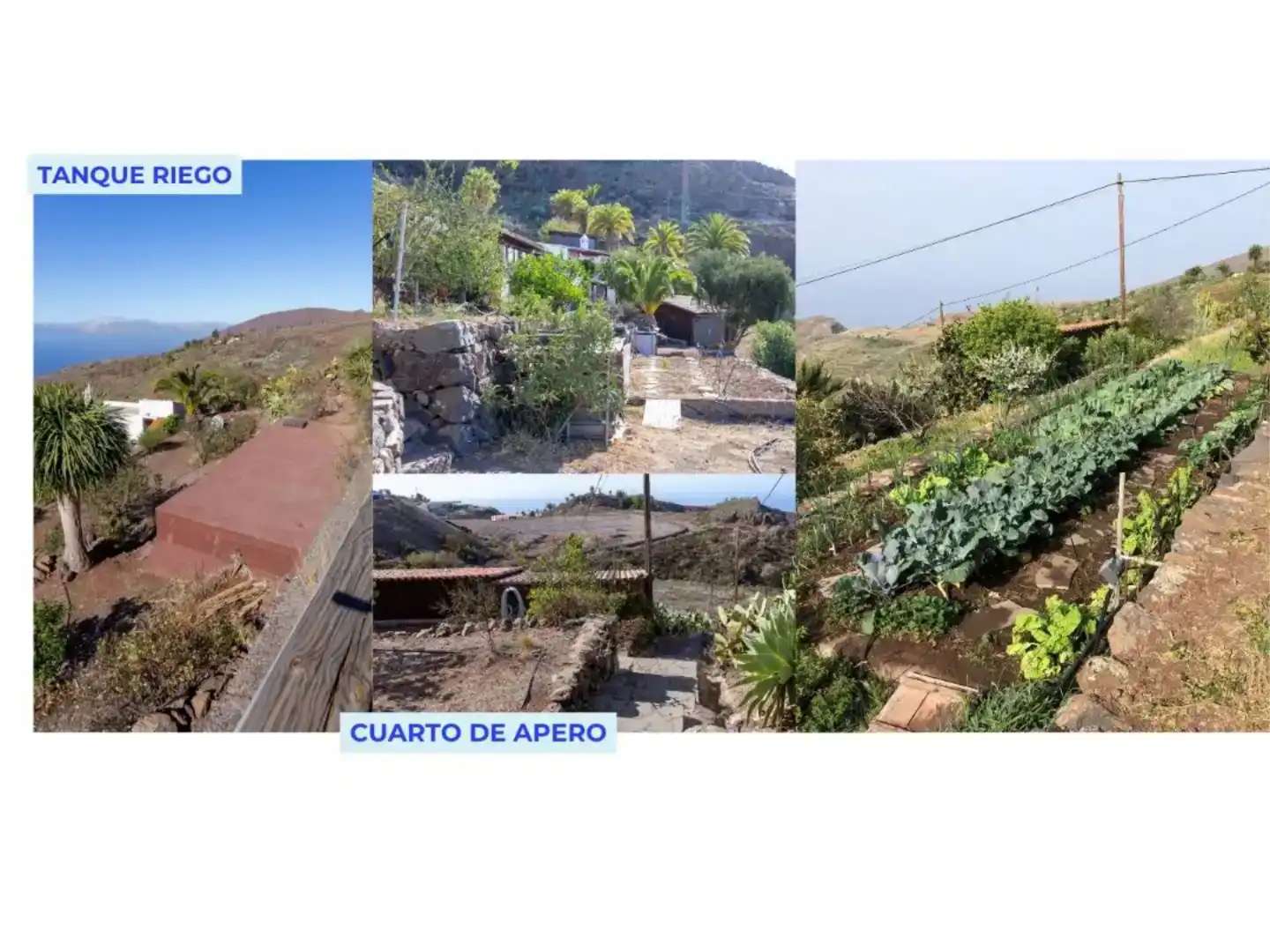 Jardín de Finca rústica en venta en Alajeró con Aire acondicionado, Jardín privado y Amueblado