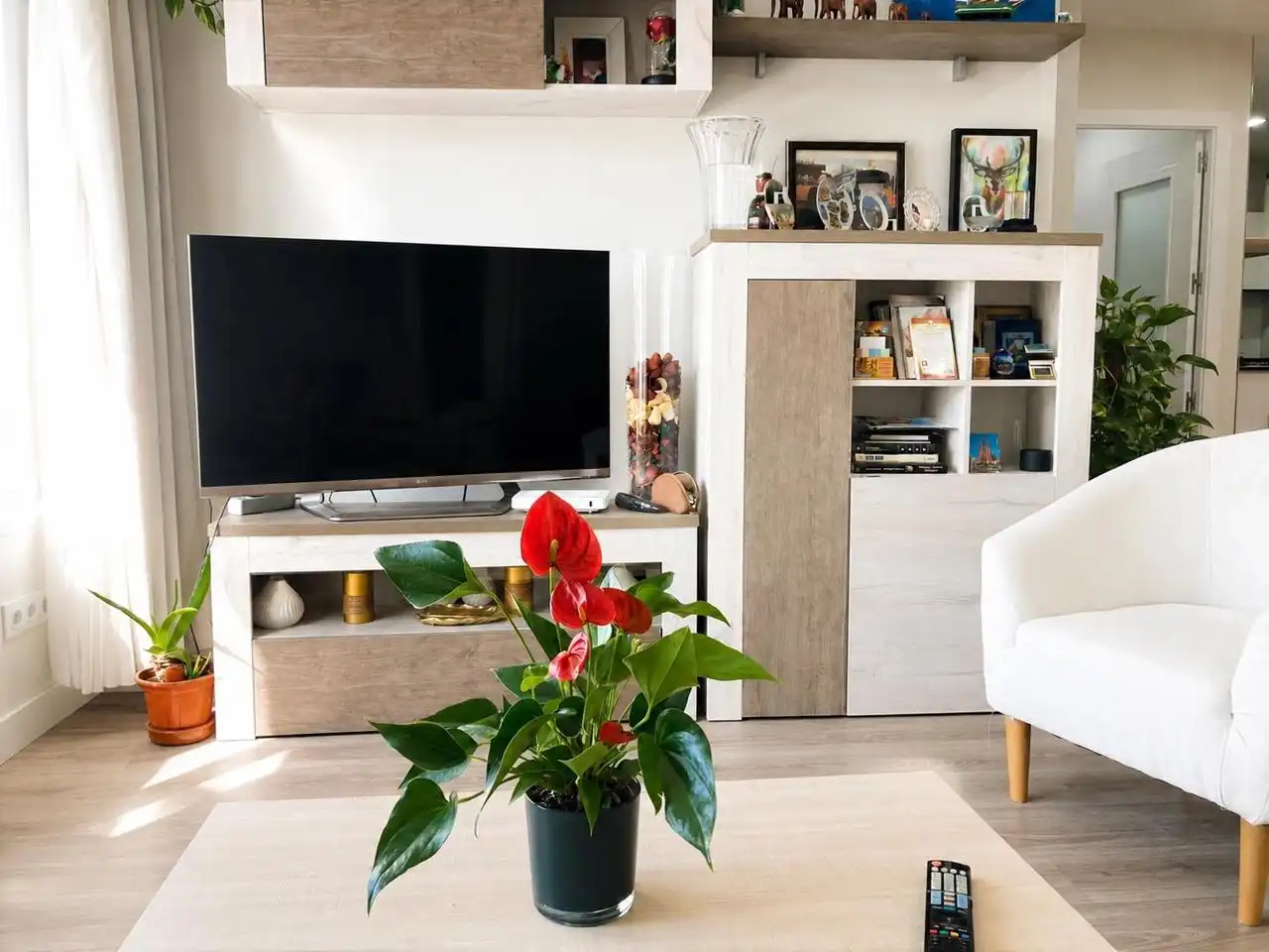 Sala de estar de Piso en venta en Madrid con Aire acondicionado y Calefacción