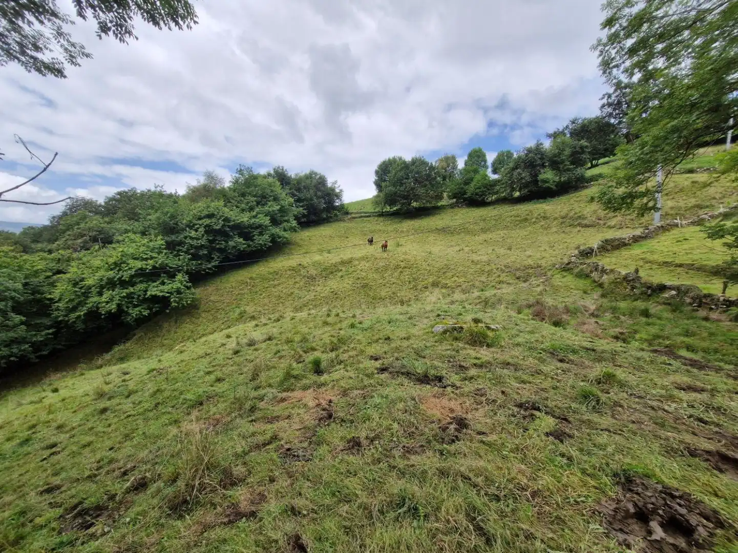 Terreno en venta en Selaya