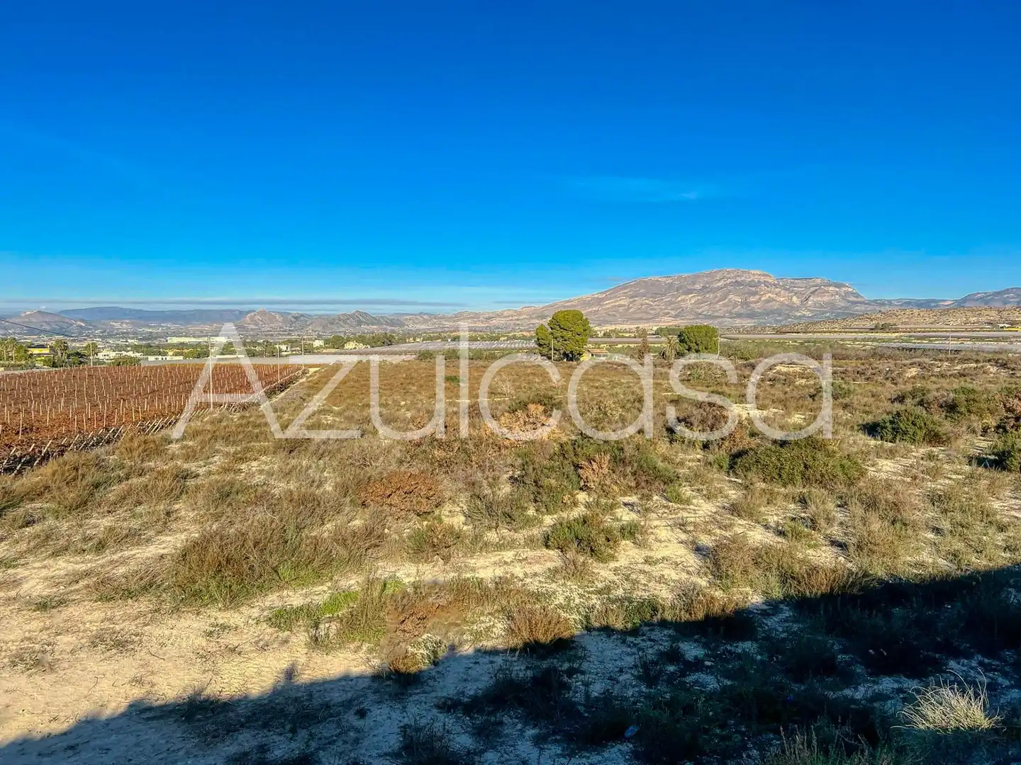 Terreny en venda en Monforte del Cid