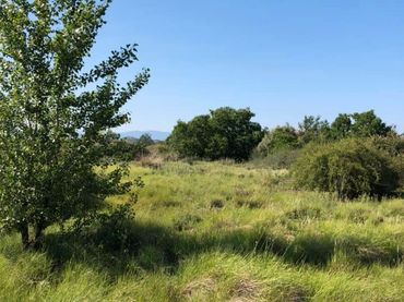 Terreno rústico en venta en Entrena