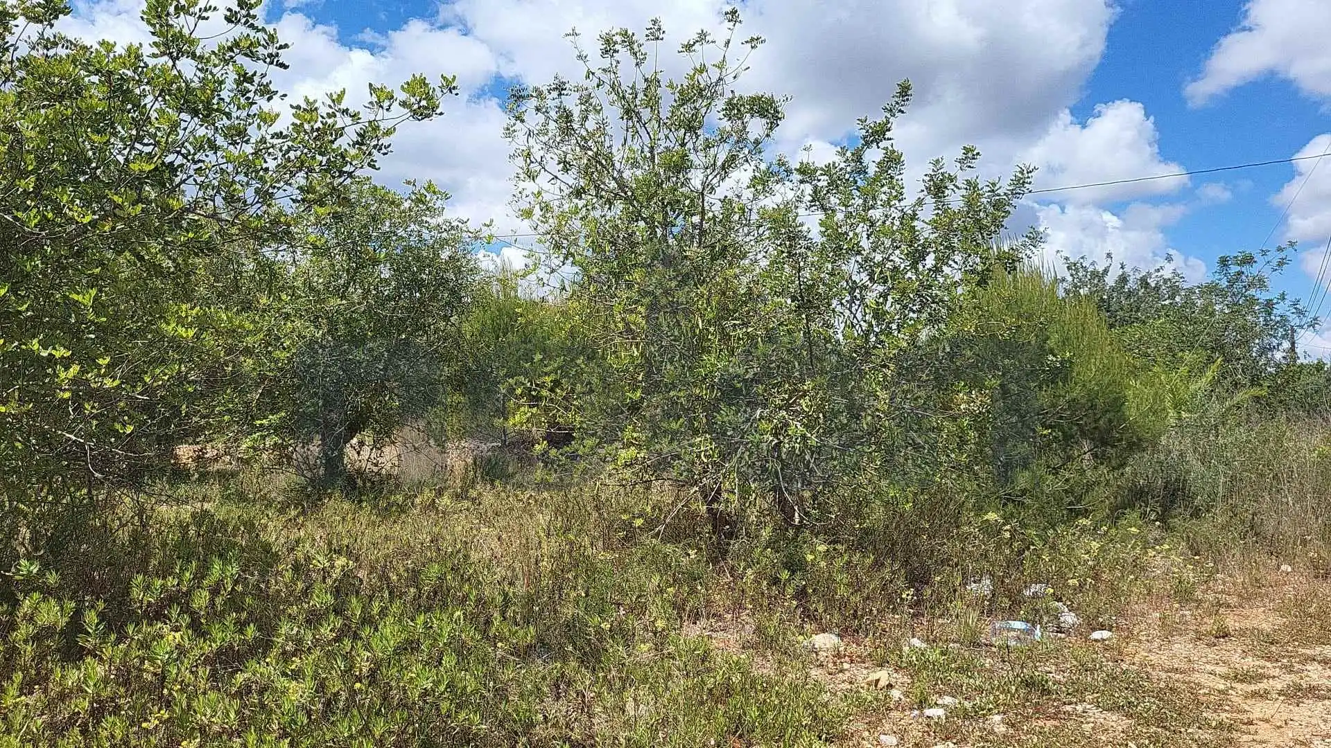 Rustikales Grundstück zum Verkauf in Pedreguer, imagen 10
