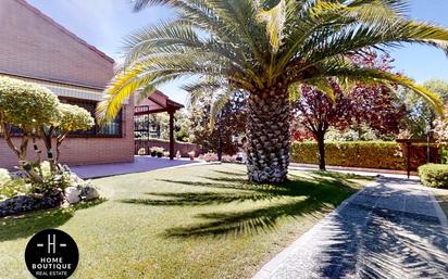 Jardí de Casa o xalet en venda en Valdeolmos-Alalpardo