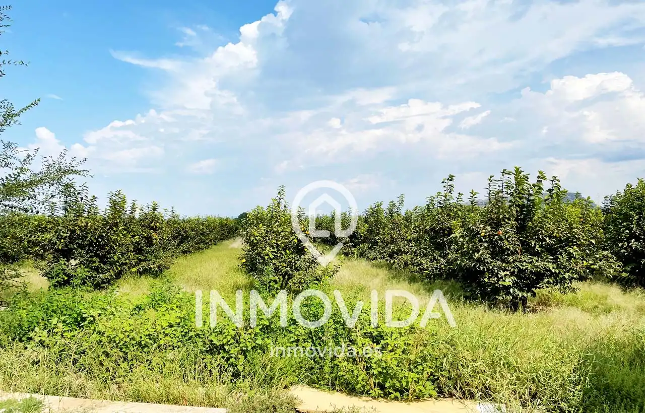 Villa con terrazza in vendita a Xàtiva, imagen 25