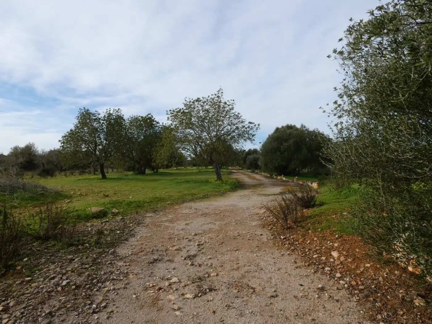 Casa o chalet en venta en Porreres