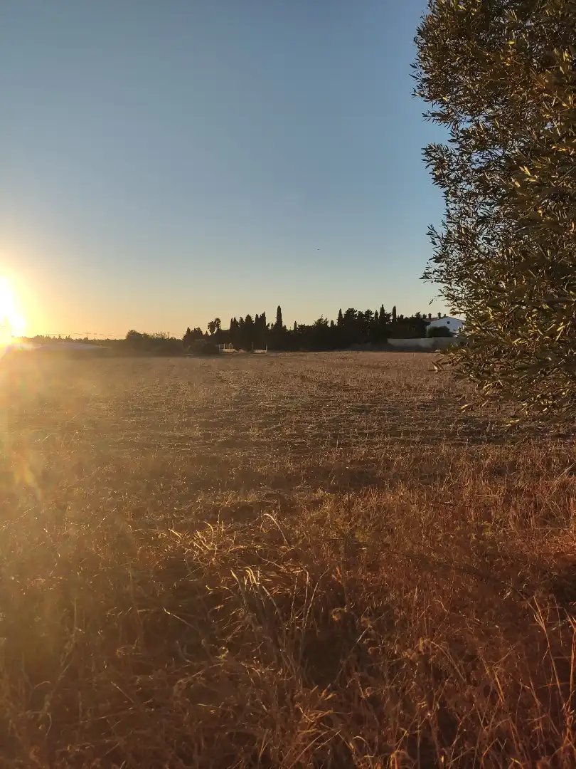 Terreno en venta en Conil de la Frontera