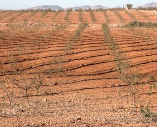 Garden of Land for sale in  Almería Capital