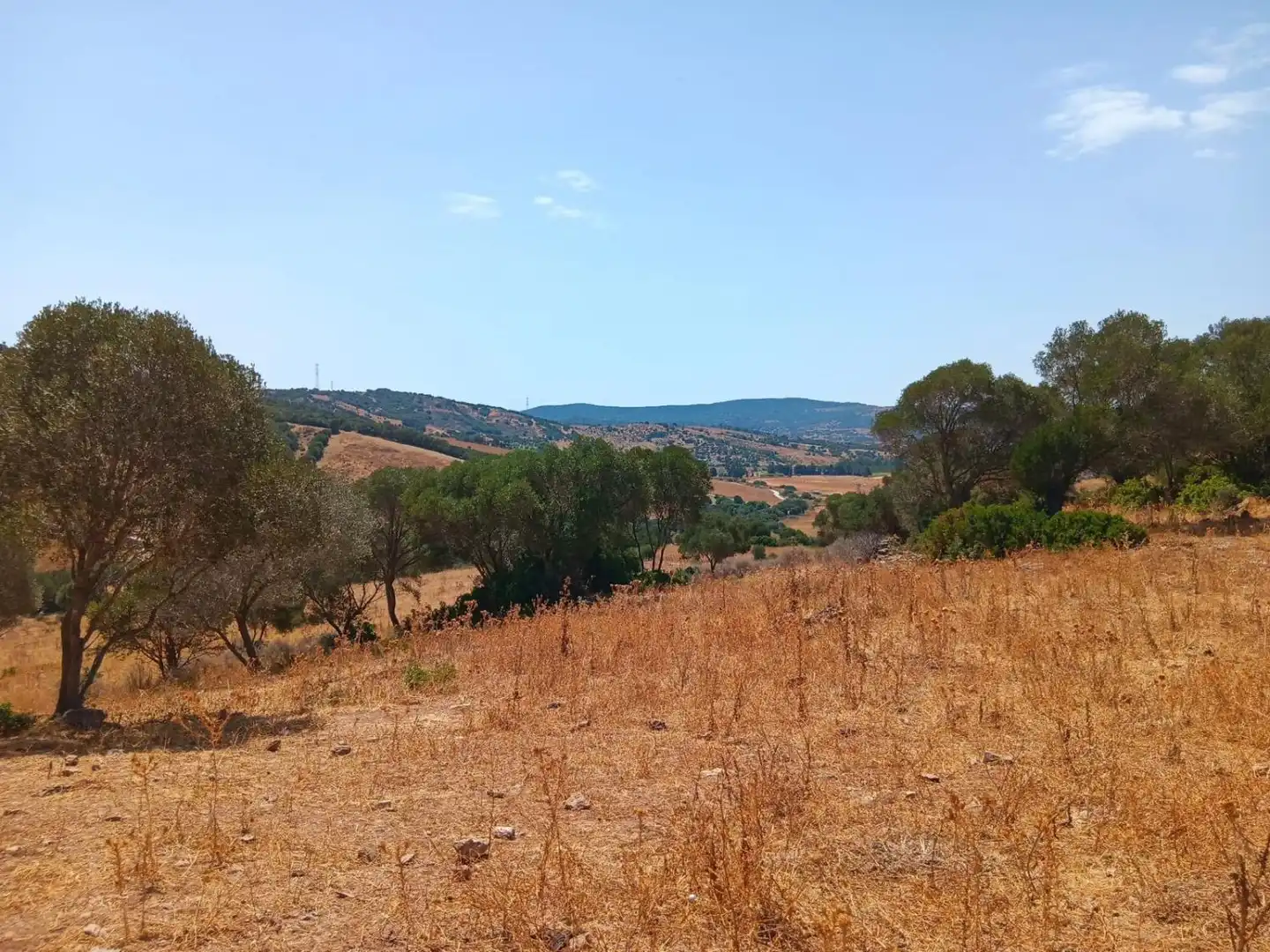 Casa rústica en venta en San Martín del Tesorillo, imagen 24