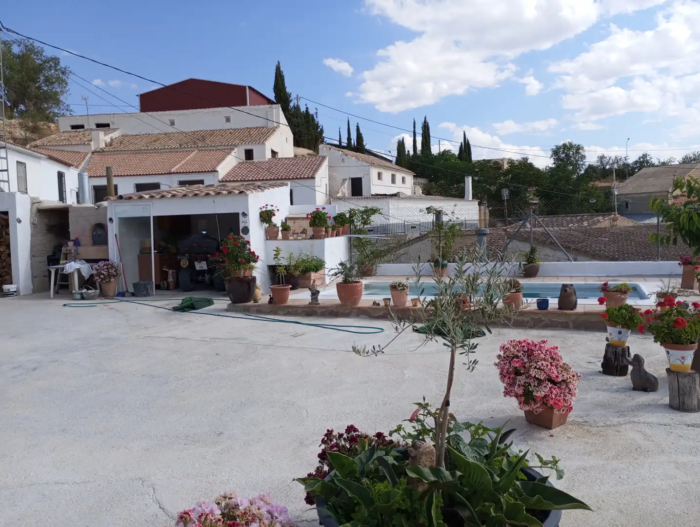 Vista exterior de Casa o xalet de lloguer en Cortes de Baza amb Moblat, Es permeten mascotes i Piscina comunitària